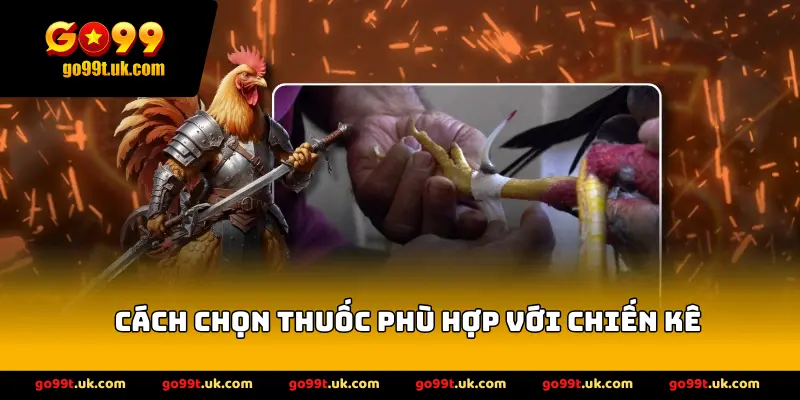 Cách chọn thuốc phù hợp với chiến kê