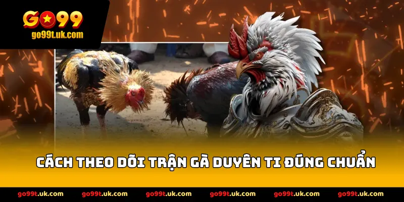Cách theo dõi trận gà Duyên Ti đúng chuẩn