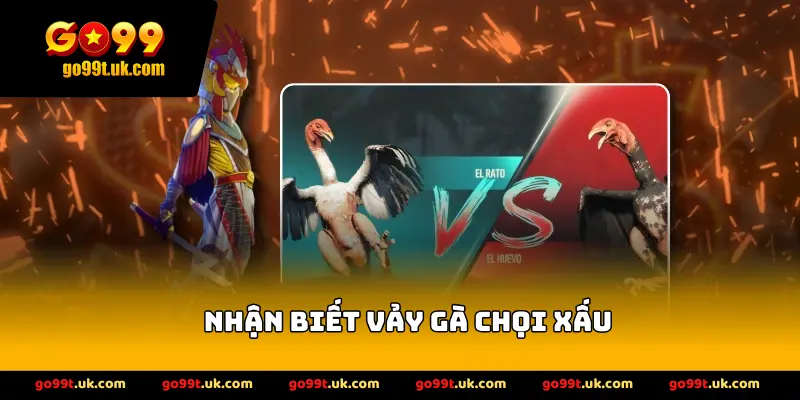 Nhận Biết Vảy Gà Chọi Xấu